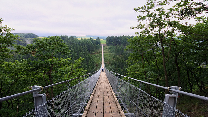 high walking bridge